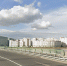 Мужчину сбросили с моста Ахмата Кадырова во время драки - Neva.Today