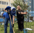 В Челябинске в память о погибших на СВО южноуральцах высадили именные яблони - Администрация г. Челябинск