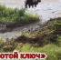 Работы по восстановлению  канализационного коллектора по адресам: ул. Широкая, д. 2 и д. 4. - Администрация г. Малгобек