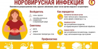 Норовирус очень заразен: для возникновения заболевания достаточно 10 вирусных частиц - Городской округ Семеновский