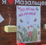 в Мазальцево с размахом отметили День деревни - фото - 9 - Администрация МО Смоленский район