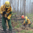В Красноярском крае за трое суток потушили 45 лесных пожаров - Наш Красноярский край