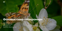 1 - Новый Компаньон