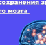 . - Первая ГКБ им. Е.Е. Волосевич