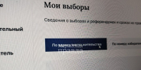 Избиратели Марий Эл могут воспользоваться сервисами для ответов на вопросы о выборах - Марийская правда