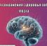 🧠 20–26 июля: Неделя сохранения здоровья головного мозга - Базовый медицинский колледж
