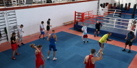 Воспитывать чемпионов — это искусство, требующее времени, терпения и полной отдачи - Гусь-Хрустальный район