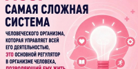 В Иркутске проходит Неделя здоровья мозга - Weacom.Ru