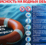 Безопасность на водных объектах. - Муниципальное образование
