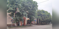 Воронежский общественник призвал власти спасти каштановые аллеи в городе - ГТРК Воронеж