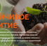 Прими участие в IX Международной научно-практической конференции «Финатлон форум. Профессионалы будущего» - ЮФУ
