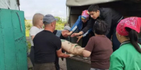 Волонтёры выехали в зону подтопления с гуманитарной помощью - Аскинский район
