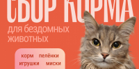 Сбор для хвостатых - Библиотечно-информационный комплекс