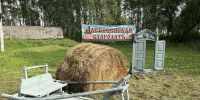 В Омской области развивают агротуристическую базу «Алексеевская благодать» - 1-LINE