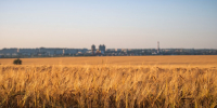 Уборочная кампания стартовала в Губкинском округе - Gubkin.City