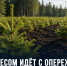 Лесхозы Липецкой области перевыполнили план ухода за молодыми лесами - Газета Задонская правда