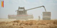 Не суть влажно: воронежские аграрии выходят на уборку, несмотря на дожди - РИА Воронеж
