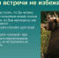 Если встречи с медведем не избежать. - Город Шарыпово