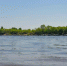 В Благовещенске мужчину прыгнул в воду с парапета набережной Амура, его ищут - Asn24.Ru