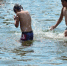 Жара возвращается в Ульяновскую область: 21 и 22 июня будет +31°C - Ulyanovsk.Express