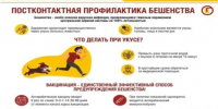 Осторожно, бешенство! - Варнавинский муниципальный округ