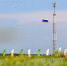 С-80 на Алтае: обработка овса, гонка с трактором и подъём флага - Волга Ньюс