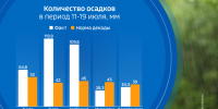 Погода на неделю: грозы, локальные ливни и подъем уровня воды на реках - ГТРК Амур