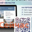 Инфопортал «Карта адаптивного спорта» начал работать в Нижегородской области - ИА Нижний сейчас