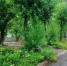 1-HDBrWbwQFkV1PNCLNfTNH6PTv0JWuWx6Sr9rWDduSLOKy_ptvtmATmjVOWU5iv.jpg - Ozersk74.Ru