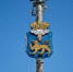 Фото: ПАИ - InformPskov.Ru
