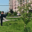 В Копейске продолжают работы по покосу травы - Копейский рабочий