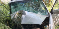 Пьяная водительница на «Сузуки» врезалась в дерево в Лебяжском районе - Newsler.Ru