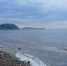 Амурский залив, Японское море, лето - Prim.News