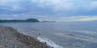 Амурский залив, Японское море, лето - Prim.News