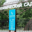 В Самаре с 21 июля по 3 августа закроют Ботанический сад - SamaraGIS.Ru