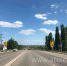 Сегодня АЗС обслуживают автомобили с чётными номерами: 0, 2, 4, 6, 8! - Allelets.Ru