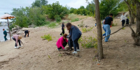 В Вольске прошел городской субботник - Вольский район
