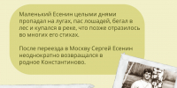 Есенин - ЦГБ г. Мичуринска