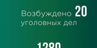 Самарская таможня за полгода возбудила 20 уголовных дел - TltGorod.Ru