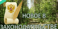 О предоставлении отчетов об использовании лесов до фактического начала рубки лесных насаждений - Администрация МР