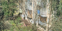 На улице Суворова сухие деревья стоят уже три года - Калужский перекрёсток