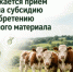 Продолжается прием заявок на субсидирование затрат по приобретению племенного материала - Министерство сельского хозяйства