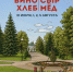 В Орле пройдёт традиционный летний фестиваль «Вино — сыр, хлеб — мёд» - OrelTimes.Ru