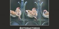 Добрая выставка «Фотографы на колёсах» продолжает своё путешествие - Историко-архитектурный и художественный музей-заповедник