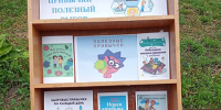 Огаревская сельская библиотека. Библиотечный бульвар «Полезные привычки – полезный выбор». - Щекинская МЦБ
