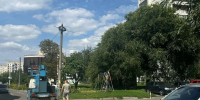 В Курске снесут аварийные деревья на Серёгина - РИА Курск