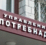 Жителям Ленобласти напомнили, какие болезни могут распространять обычные мухи - Кингисепп-сегодня.рф