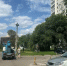 В Курске на улице Серегина снесут аварийные деревья - Курская правда