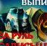 Соблюдай правила, выпил-за руль не садись!. - Брасовский муниципальный район