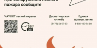 Вологжан призывают соблюдать правила пожарной безопасности в лесах - OnlineVologda.Ru